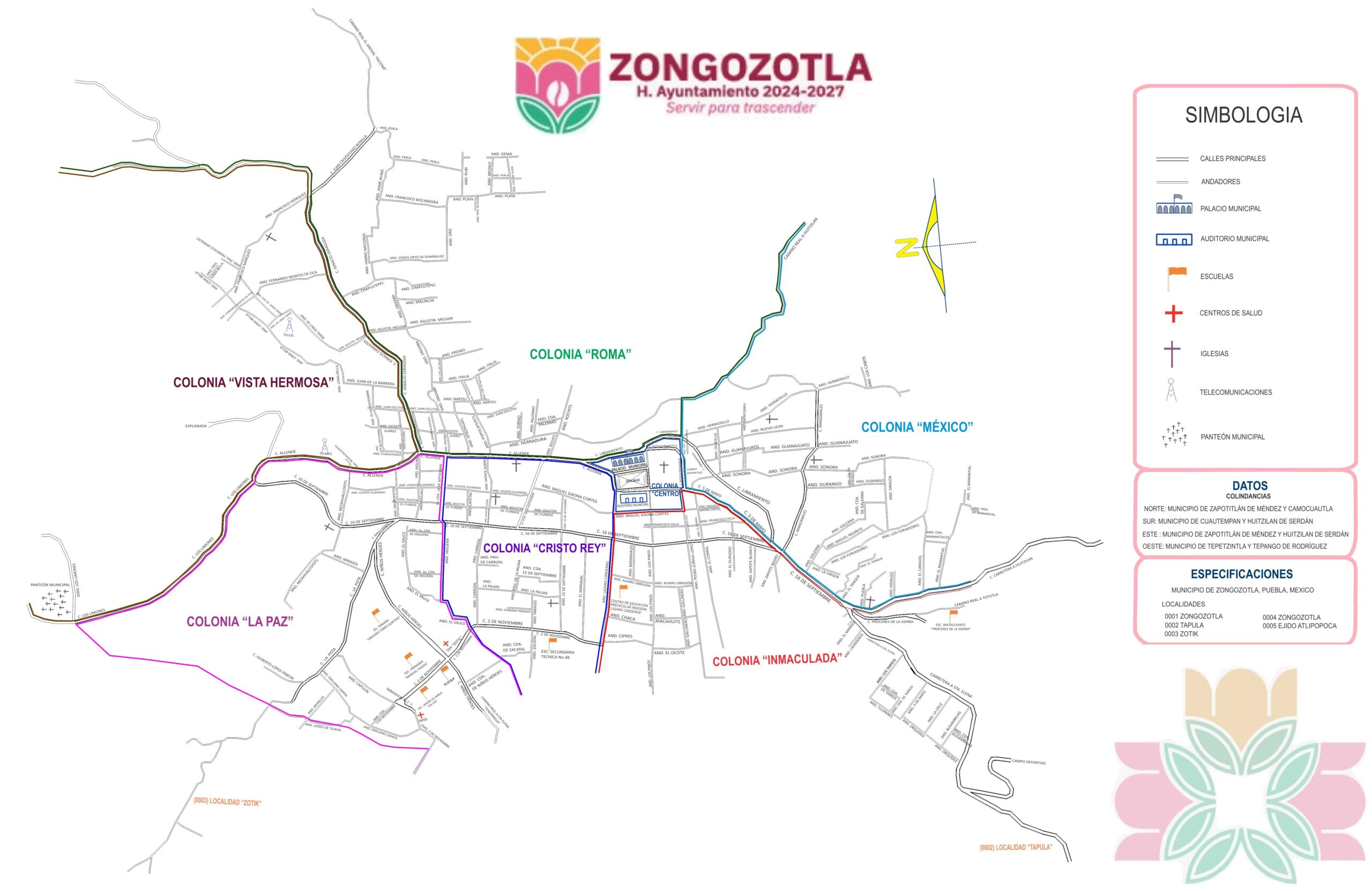 Woman Holding Cup Standing in the Kitchen